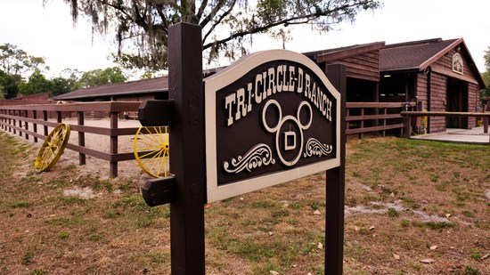 Tri-Circle-D Ranch